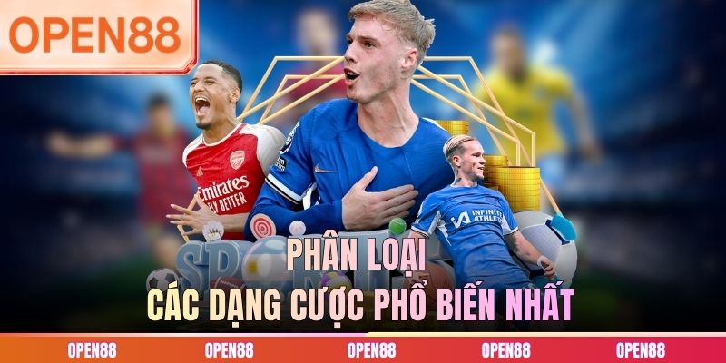Ph&acirc;n loại c&aacute;c dạng cược phổ biến nhất
